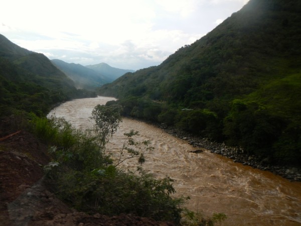 roadside chinchipe